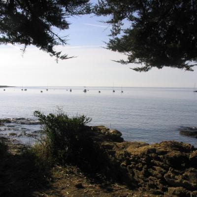 Plage